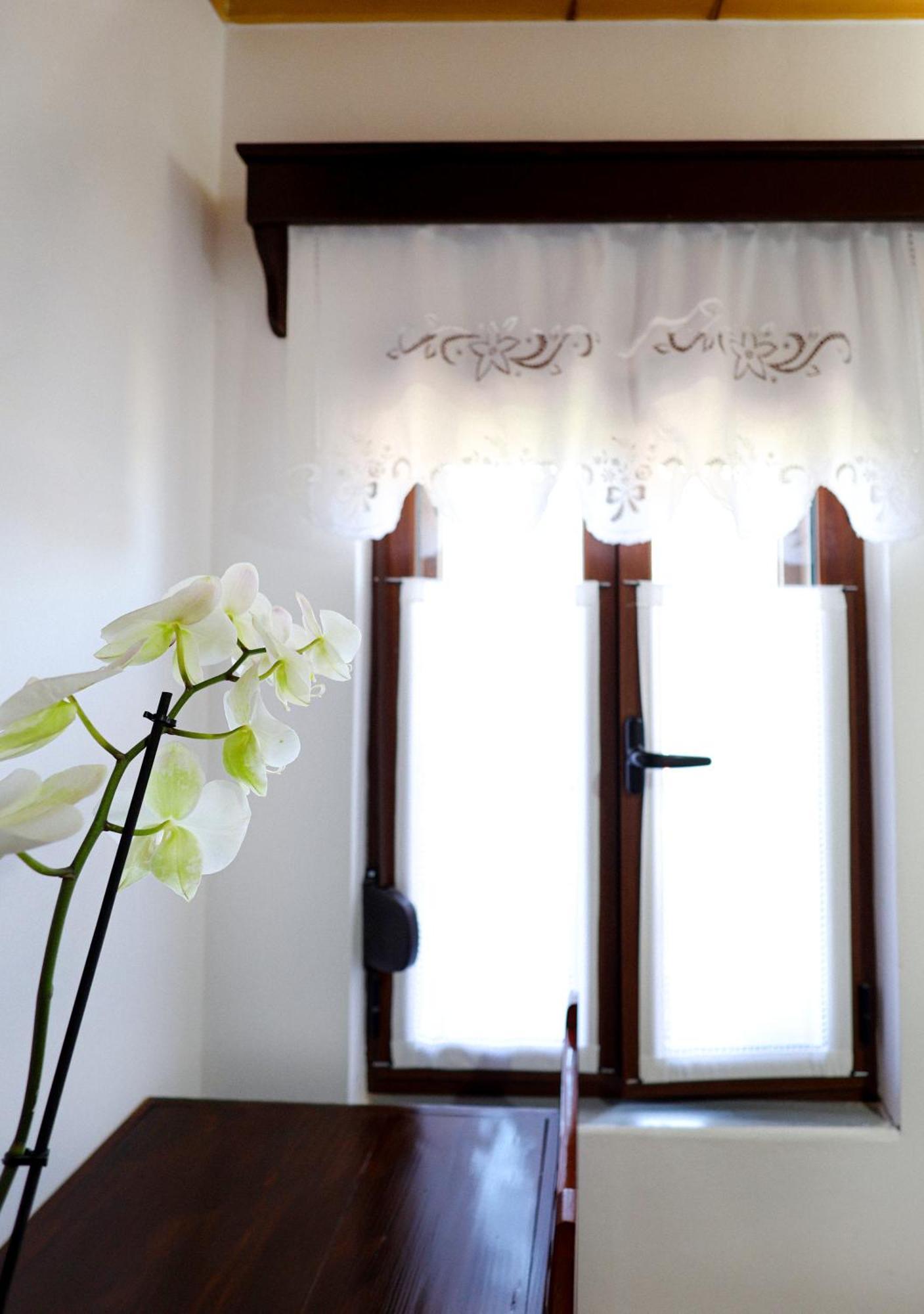 Guest house E Skulptorit-unesco Quarter Berat